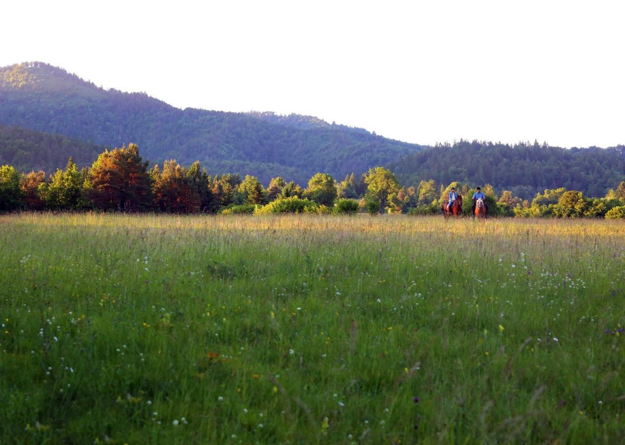 Notranjska Hisa - Traditional Country House, Close To The World Attraction Cerknica Lake Begunje pri Cerknici Exterior photo